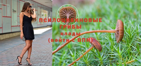 a pvp Зерноград