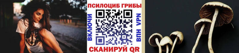 Галлюциногенные грибы прущие грибы  Купить закладки  Горняк 